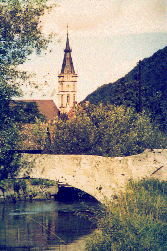 Blick auf die Amanduskirche von der Erms aus