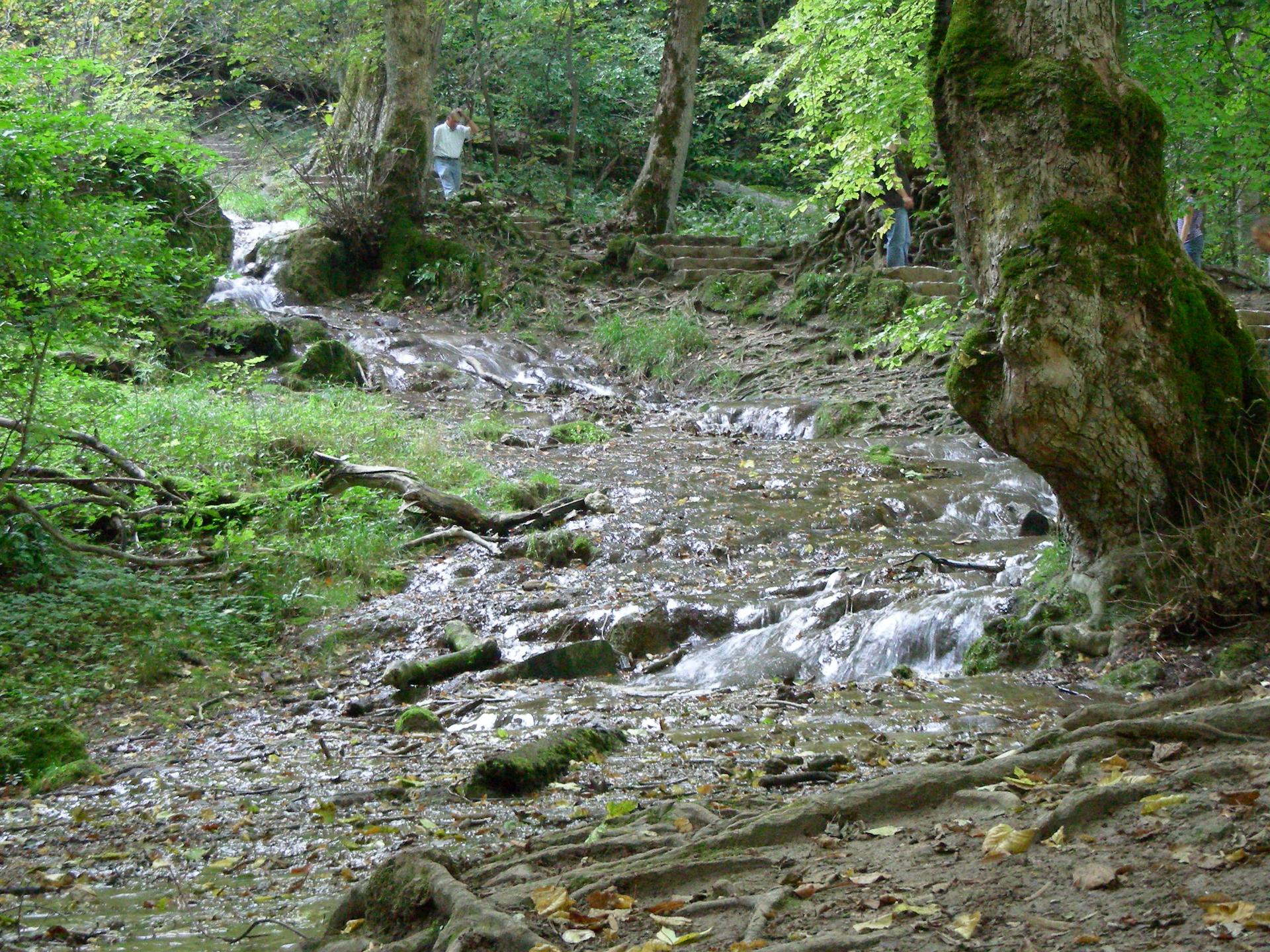 Brühlbach (5/5): Am Fuß des Wasserfalls