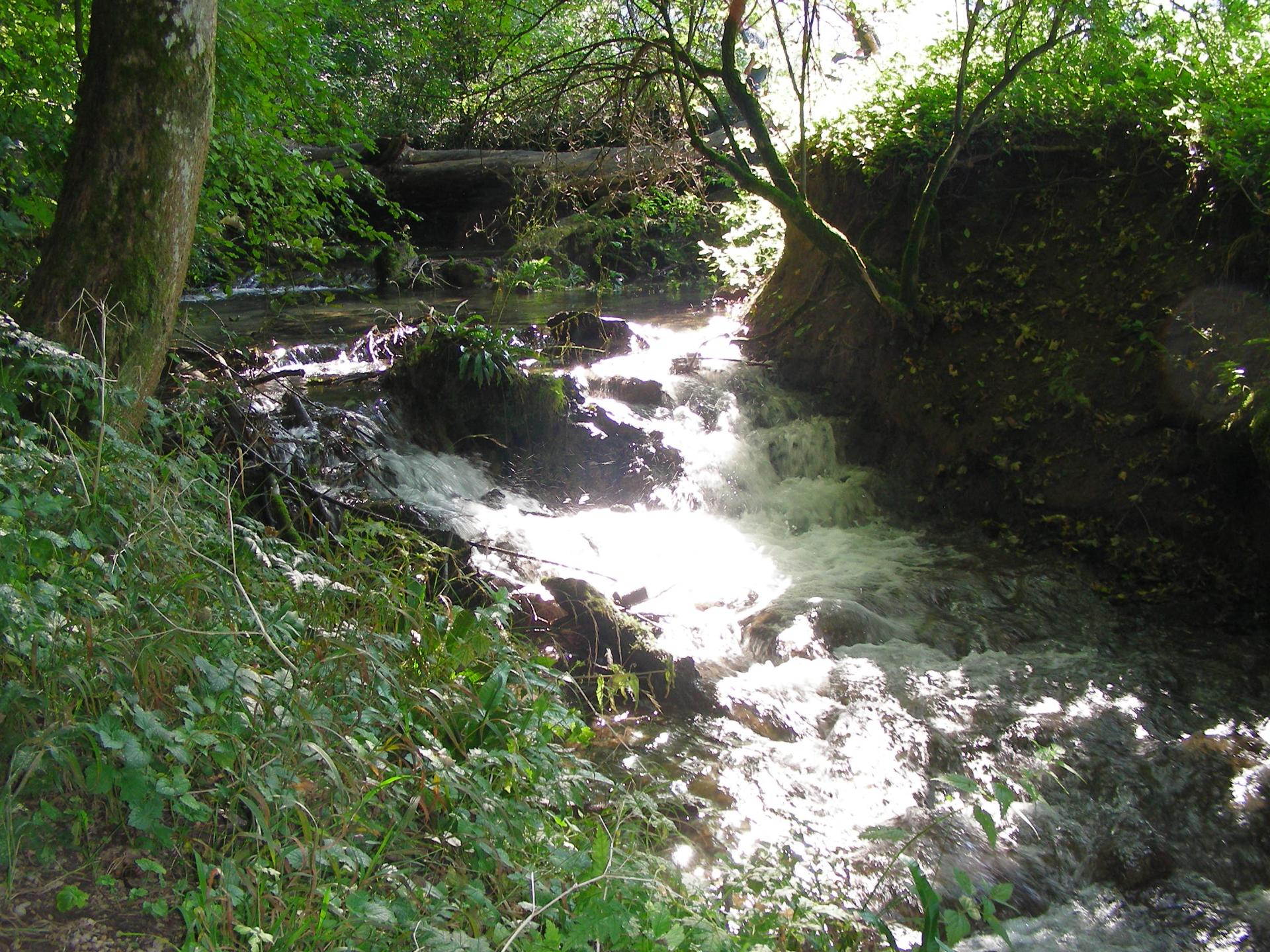 Brühlbach (2/5): Auf dem Weg zum Wasserfall