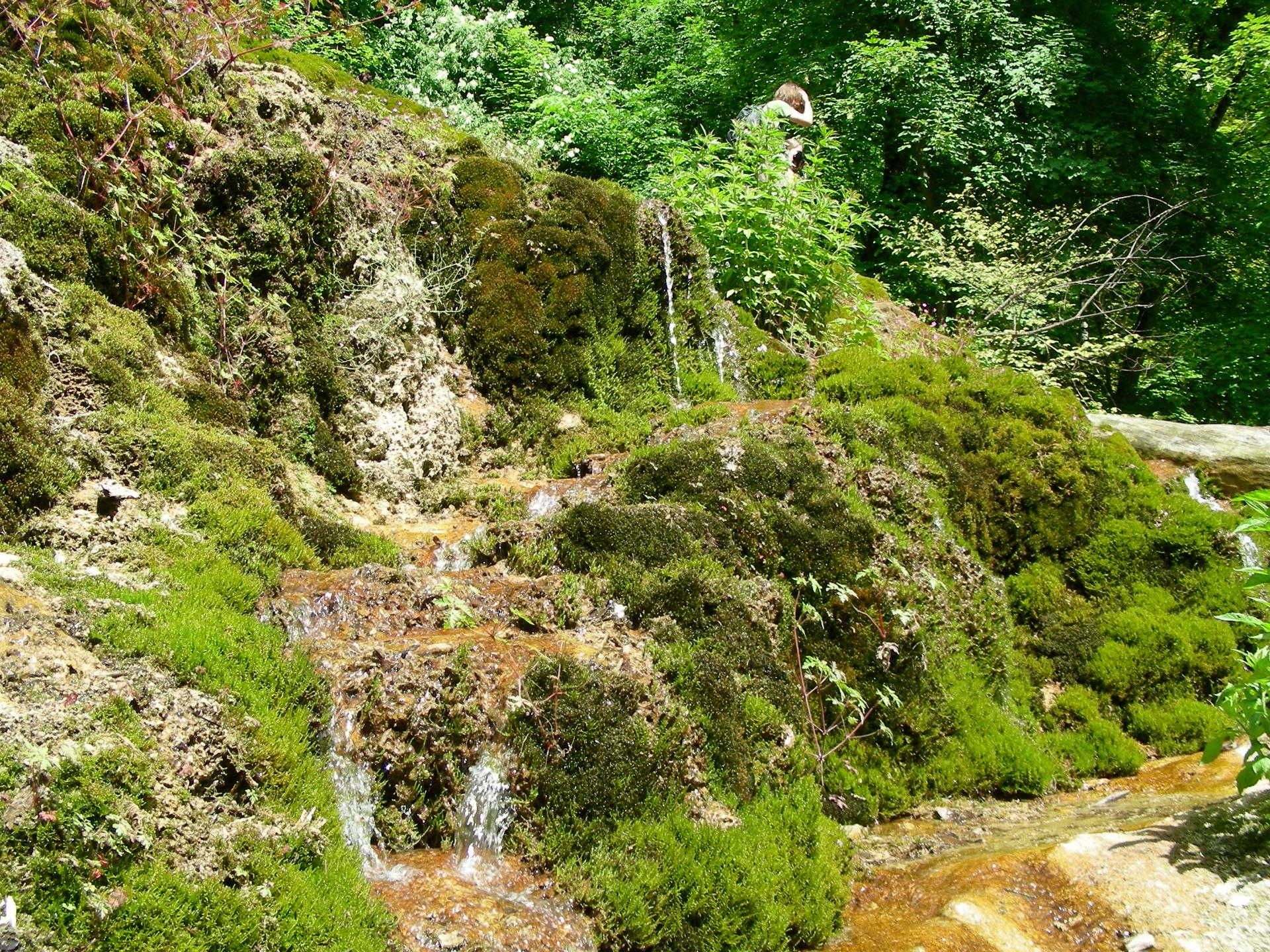 Am Fuße des unteren Wasserfalls: Nahaufnahme des mit Moos bewachsenen Tuffsteins