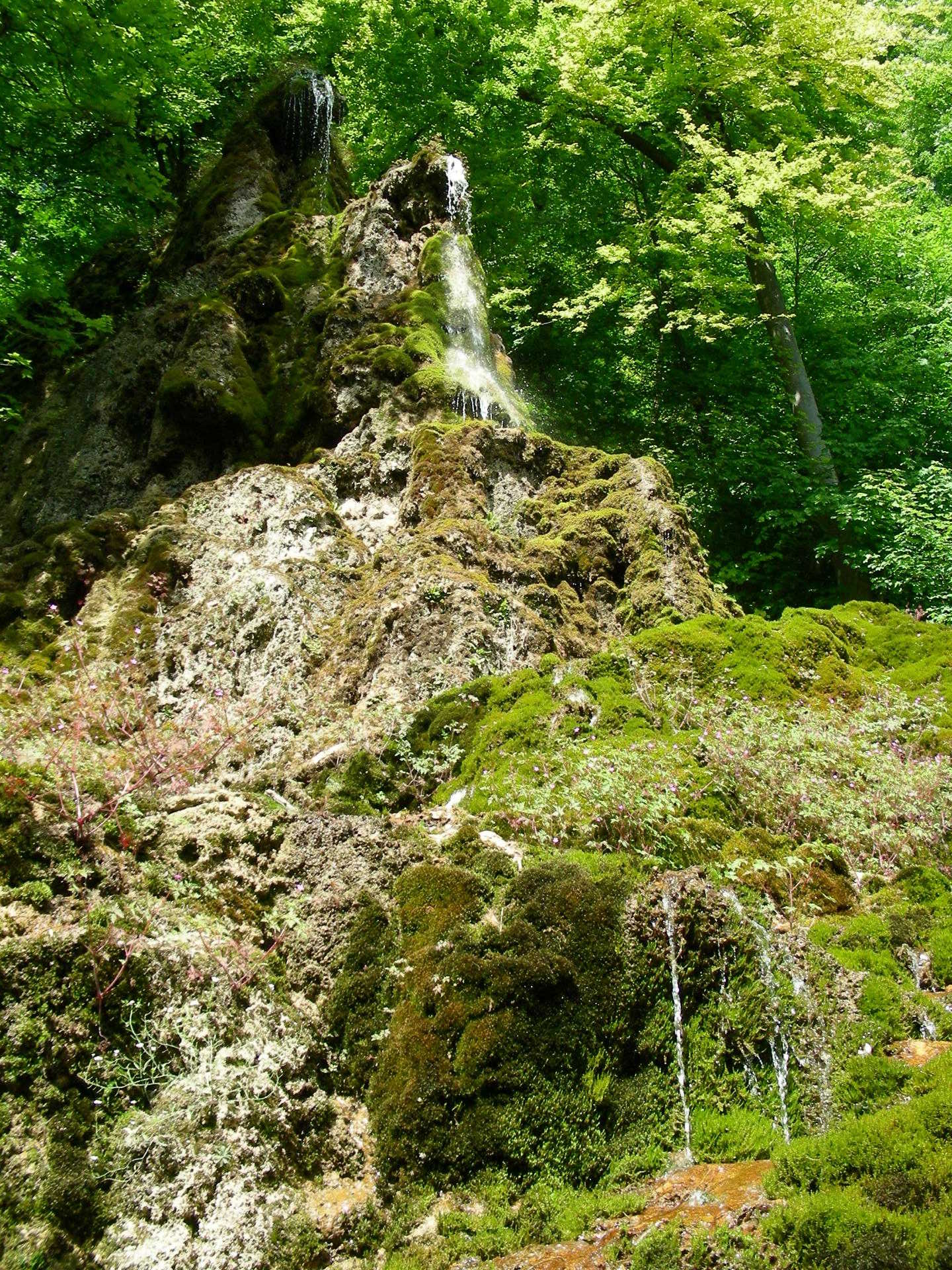 Unterer Wasserfall: Perspektive vom Tuffstein-Hang