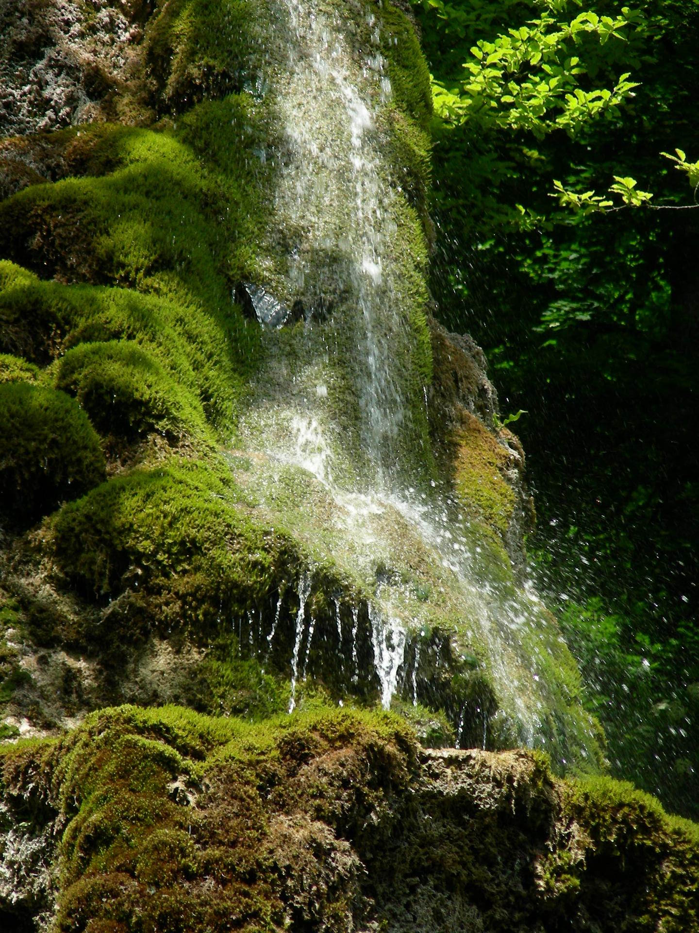 Unterer Wasserfall: Wasser fällt über moosbedeckten Tuffstein