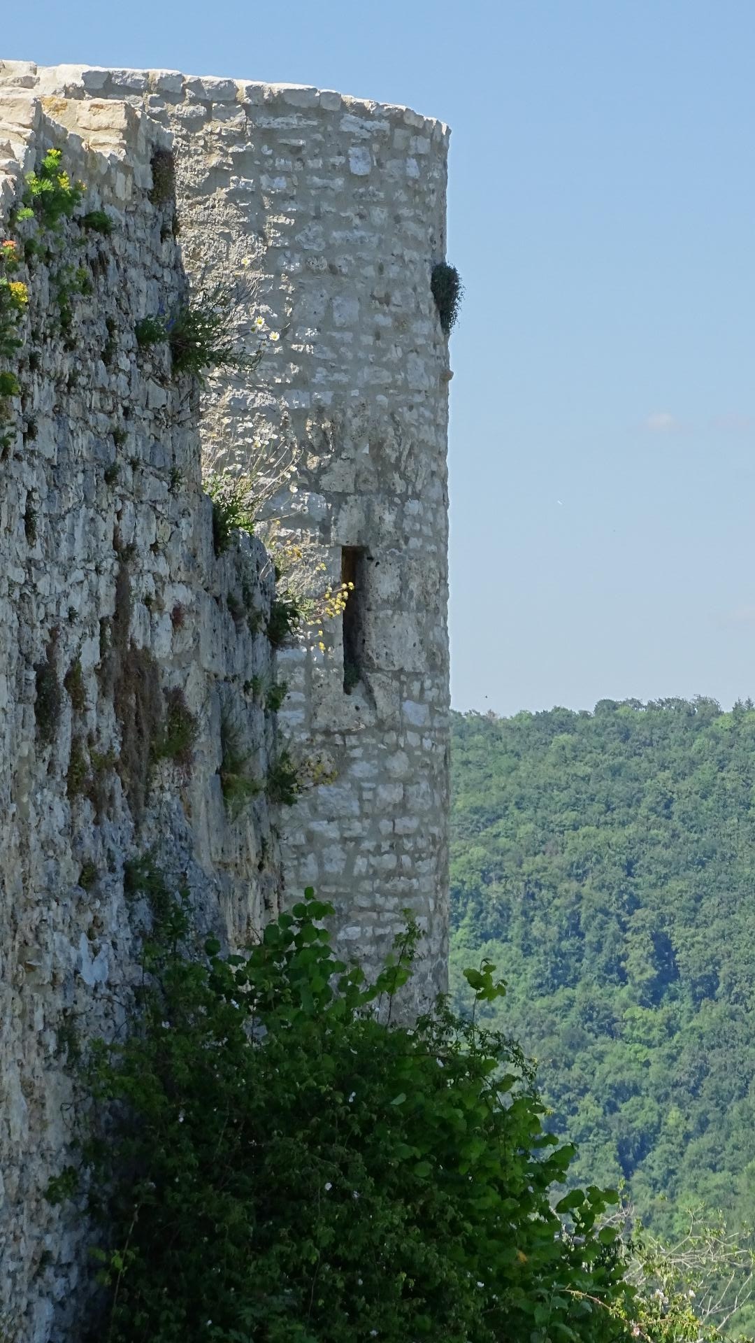 Turm der Burgruine