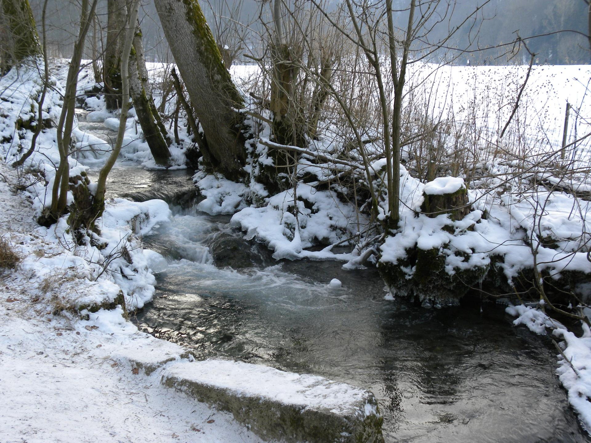 Auf dem Weg zum Wasserfall: Brühlbach im Winter