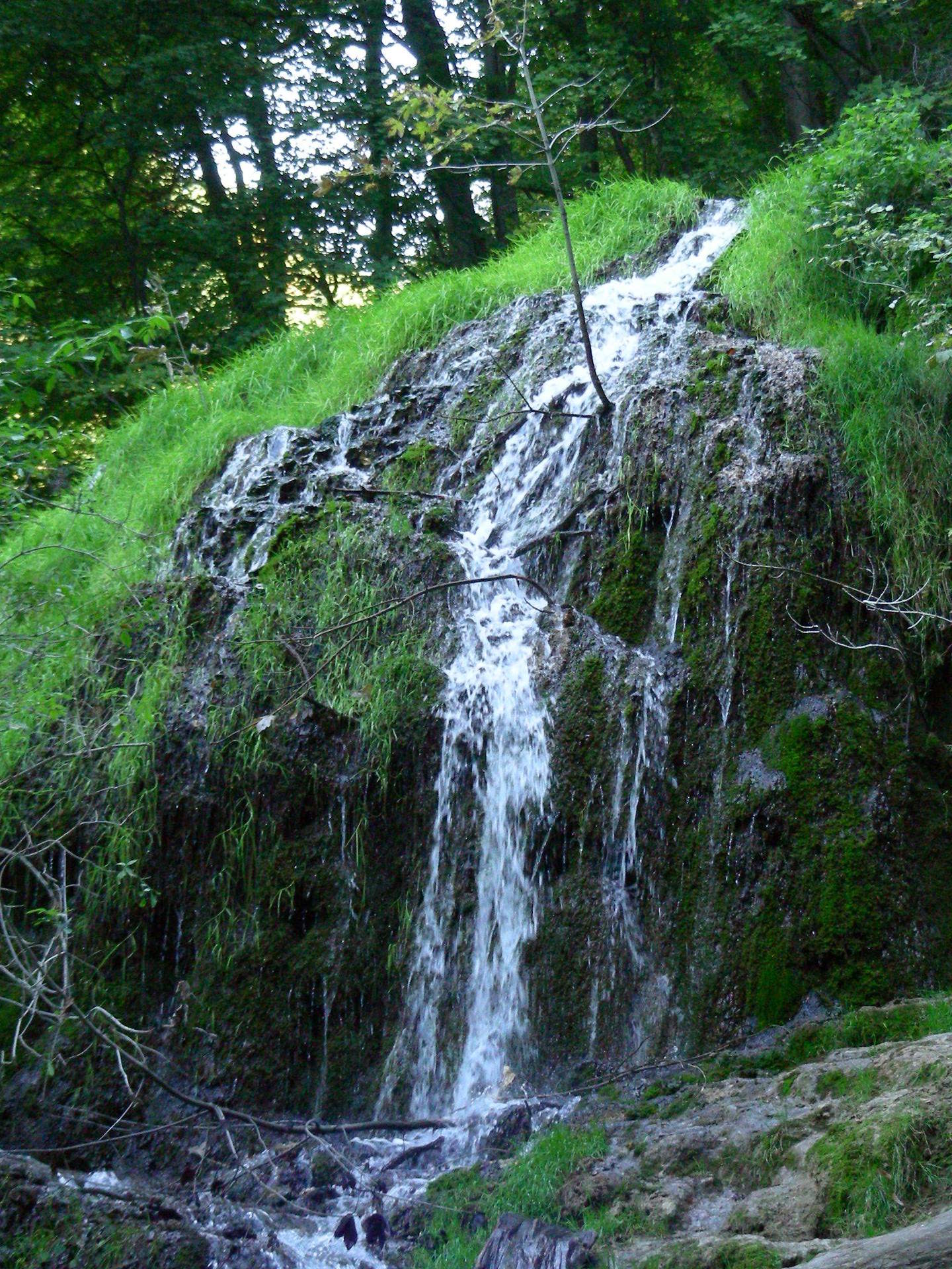 Moosbedeckter Tuffstein am Fuße des Wasserfalls