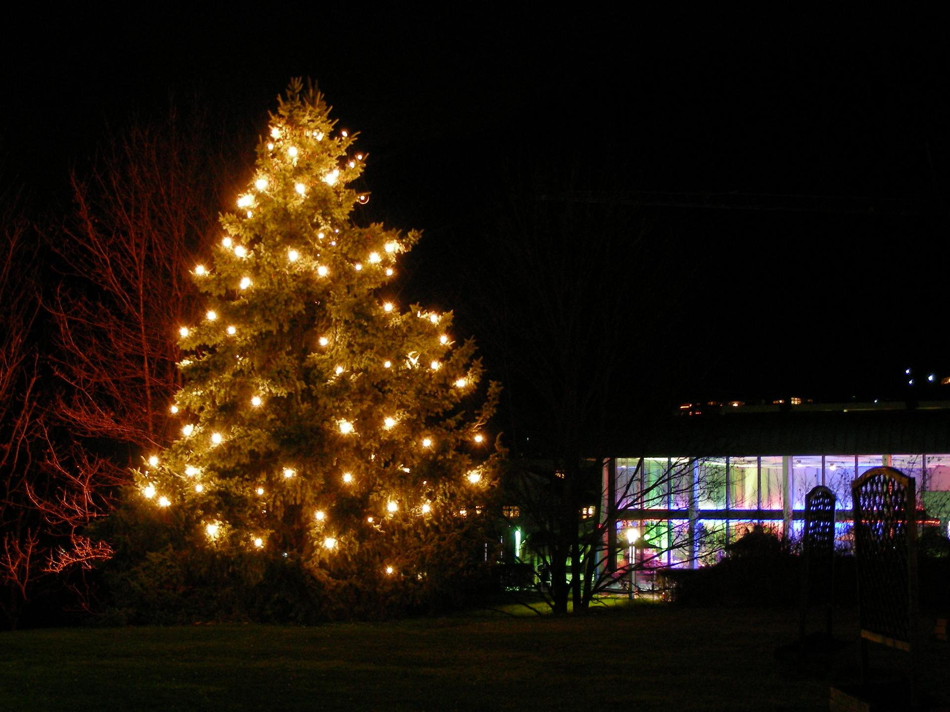 Weihnachtsbaum im Kurpark mit den Albthermen im Hintergrund