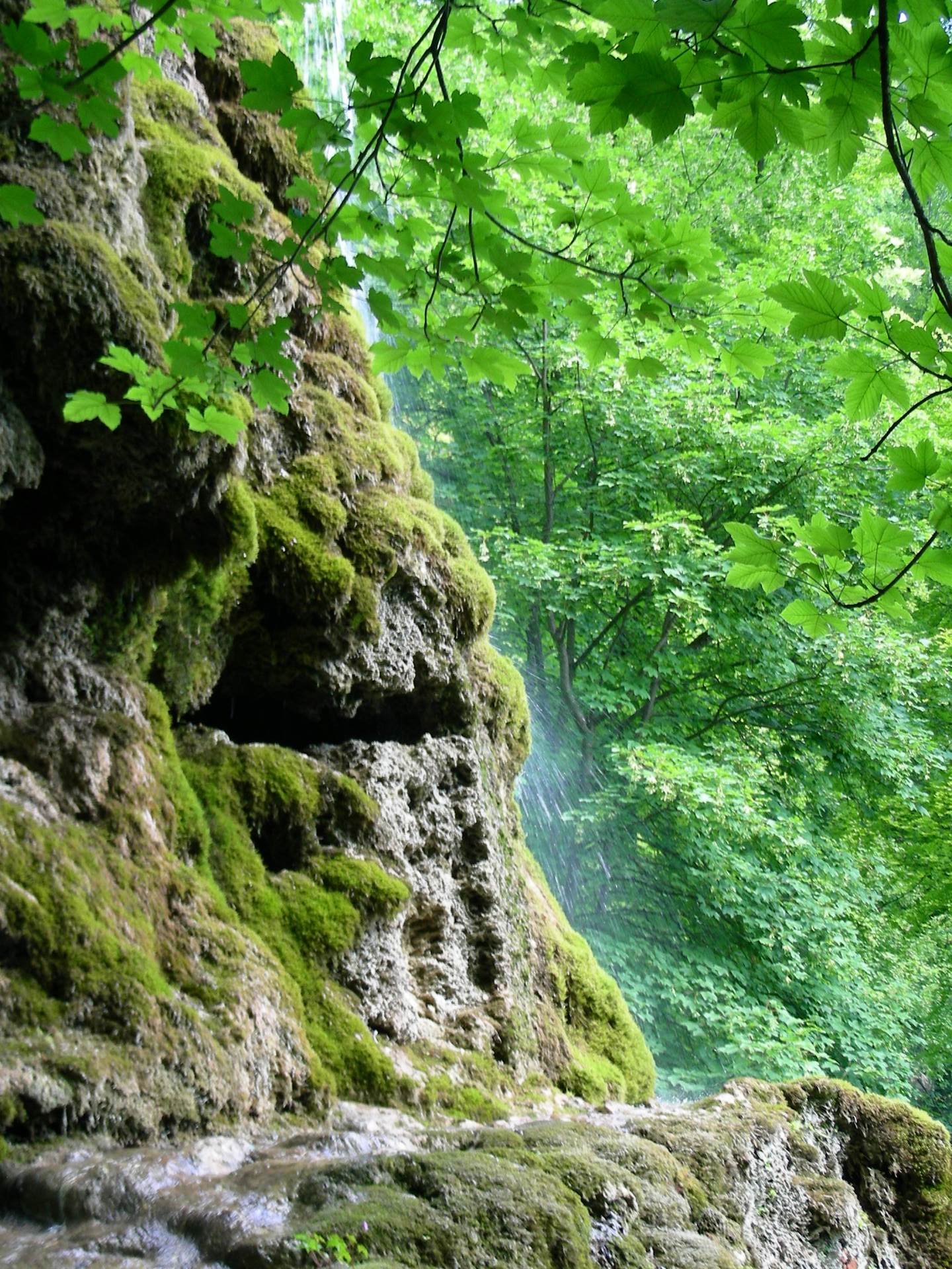 Unterer Gütersteiner Wasserfall im Sommer